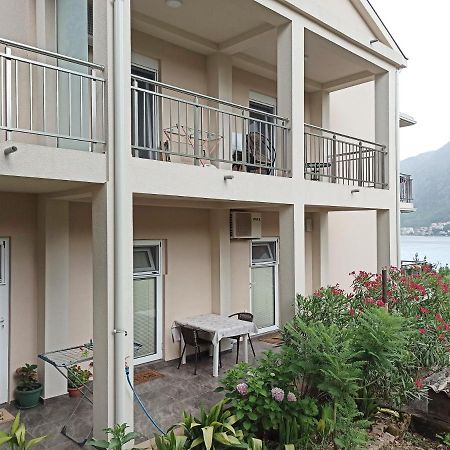Java Apartments - S & J Dobrota Ngoại thất bức ảnh